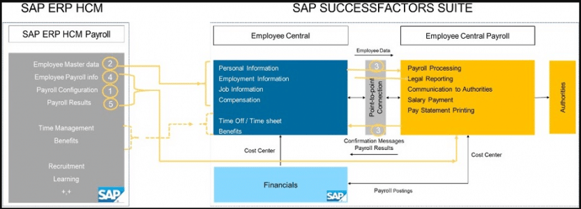 flow of the migration process from SAP HCM to SAP SF ECP