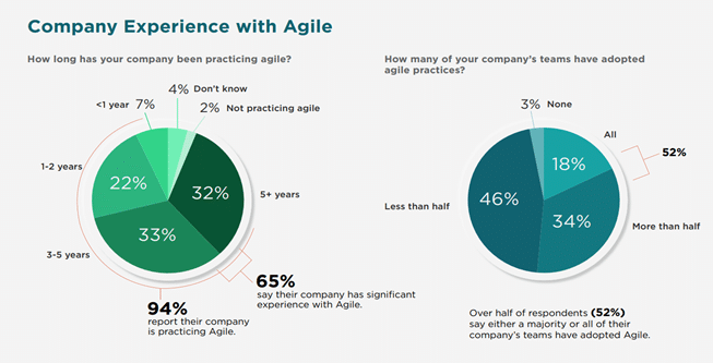Company Experience With Agile